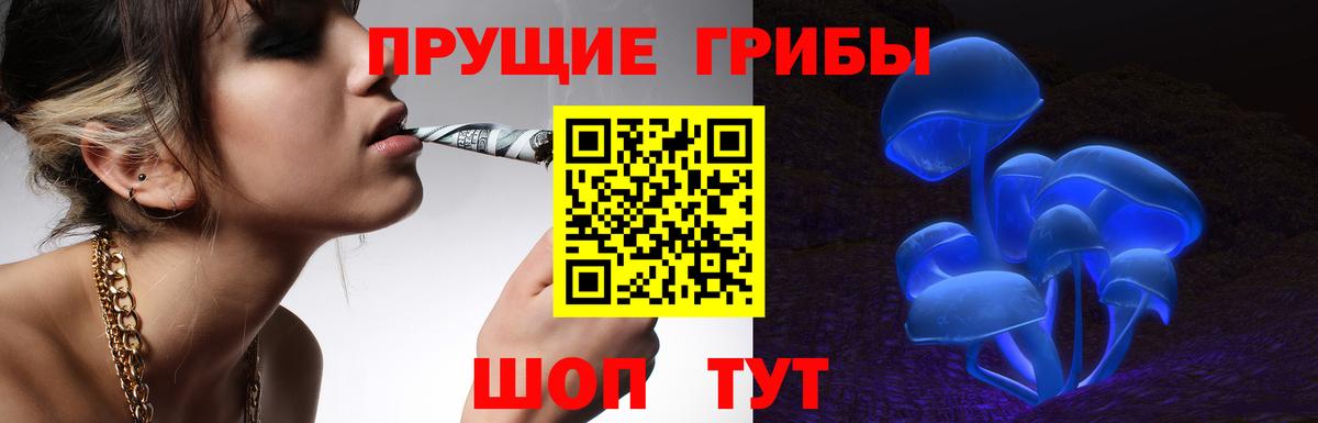 Конаково  Псилоцибиновые грибы MAGIC MUSHROOMS  Вход с VPN 